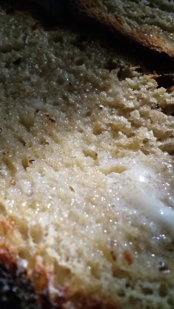 How sustainable is Kite Hill butter? A photo of Kite Hill butter melting on toast.