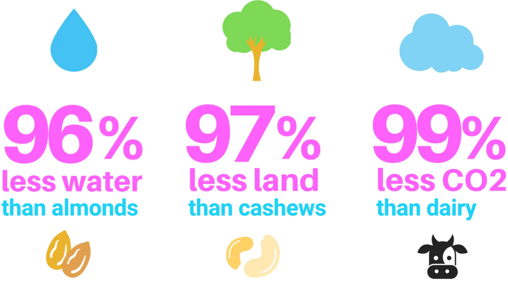 Spero vegan cream cheese – ethical review. A graphic shows the following three facts cited by Spero Foods on sustainability of sunflower seeds: Sunflower seeds require 96% less water to grow than almonds.
Sunflower seeds require 97% less land to grow than cashews.
Sunflower seeds generate 99% less CO2, compared to dairy.