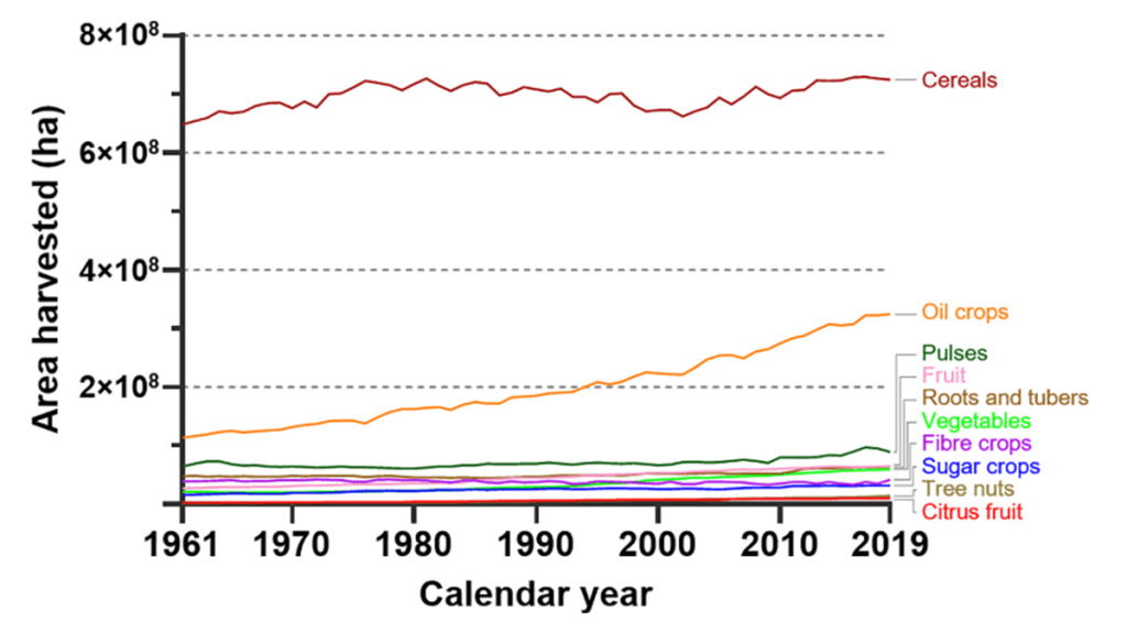 A chart shows land area used for oil crops versus other staple crops from 1961-2019. While most other crops (cereals, fruit, etc.) have remained fairly constant land used for oil crops has tripled over that time frame. 