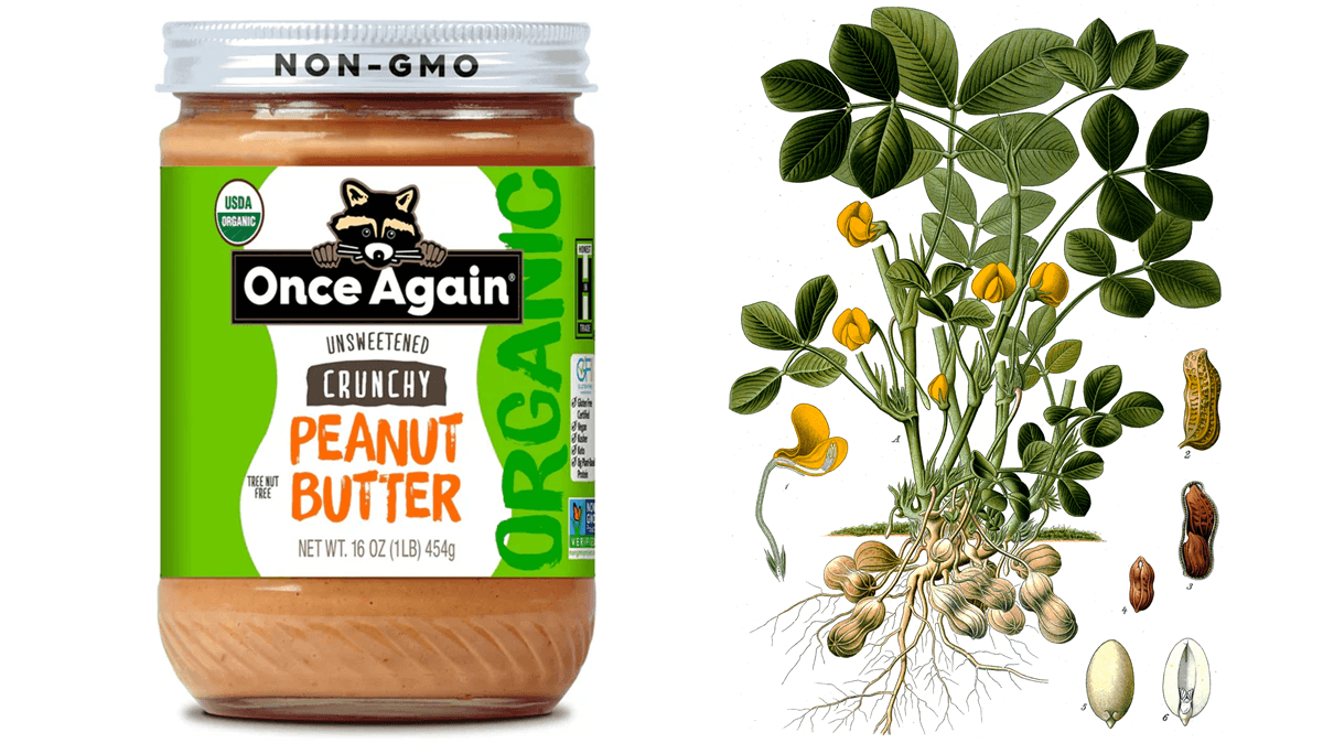 Everything you need to know about peanut butter (Once Again)